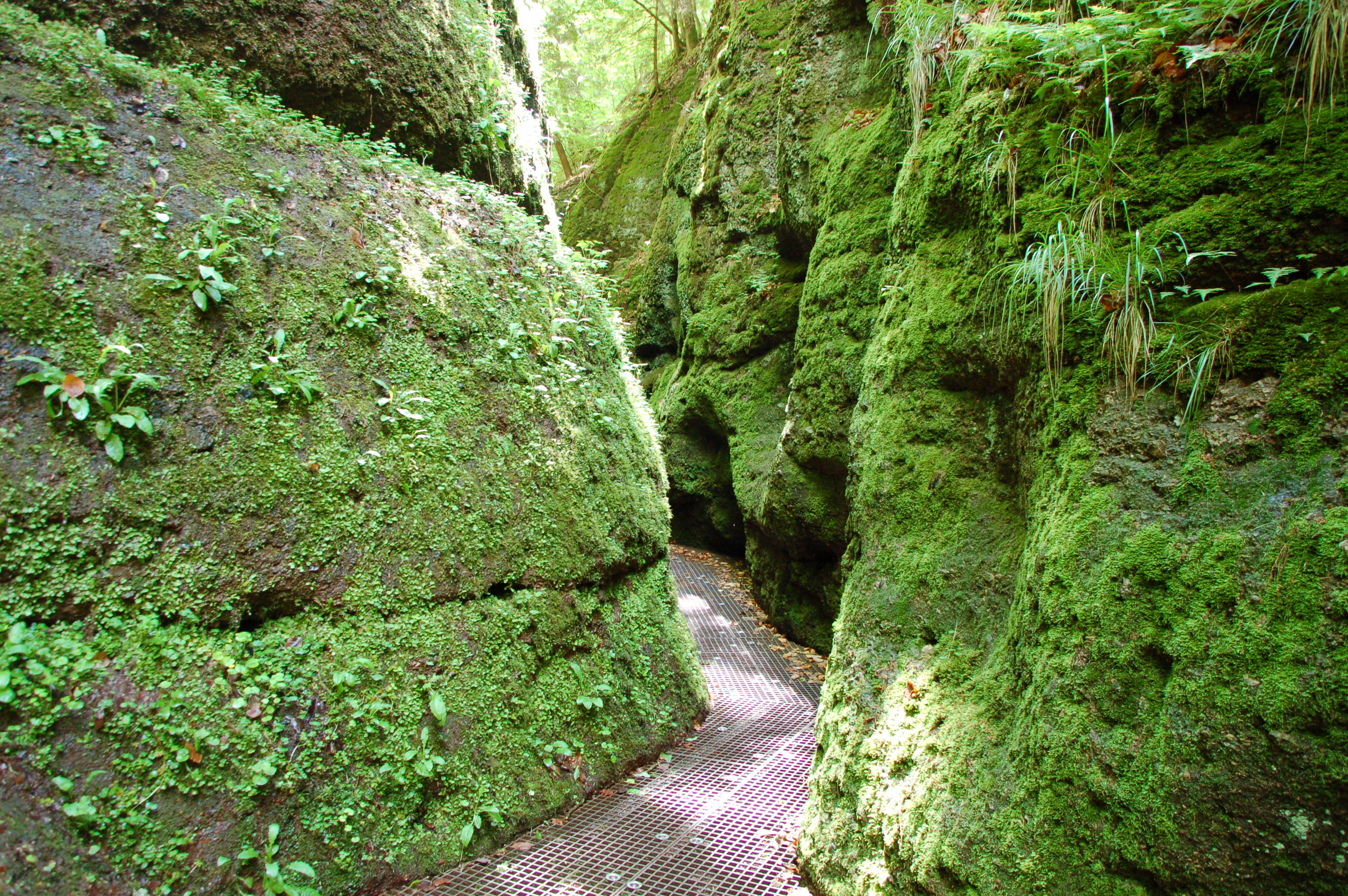 Die Drachenschlucht bei Eisenach im Wartburgkreis / Thüringen